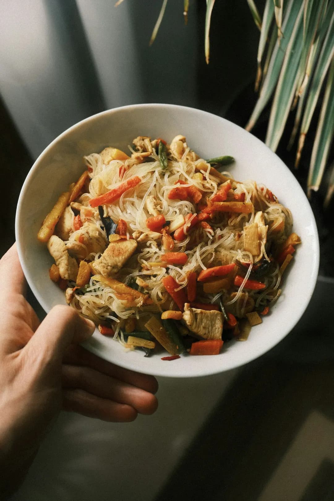 A home-cooked bowl of chicken, noodles and vegetables